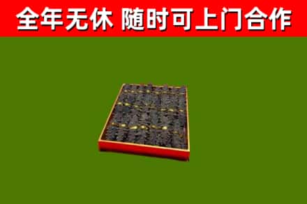 江海回收海参